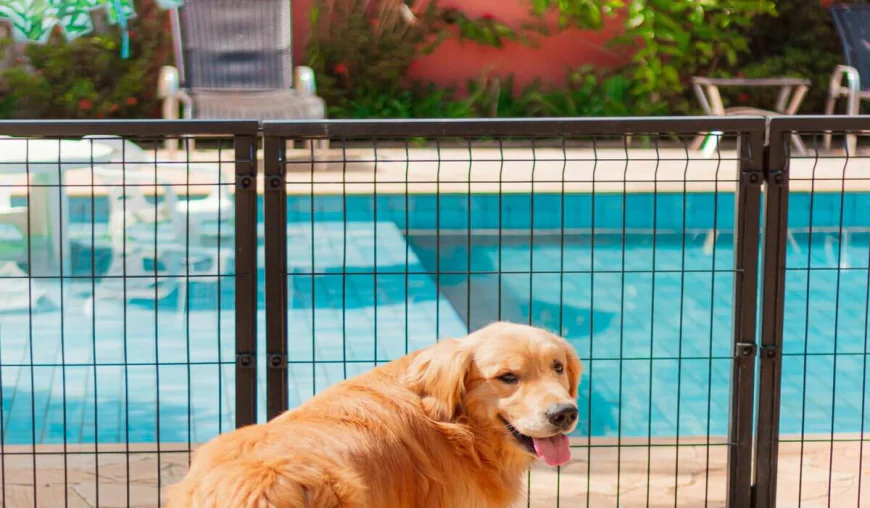 Pool Fence Regulations Every Melbourne Homeowner Should Know