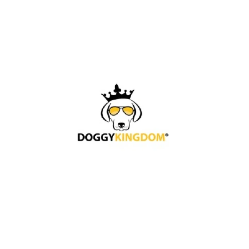 Shop the Best Online Dog Apparel Store for a Winter Jacket for Dogs