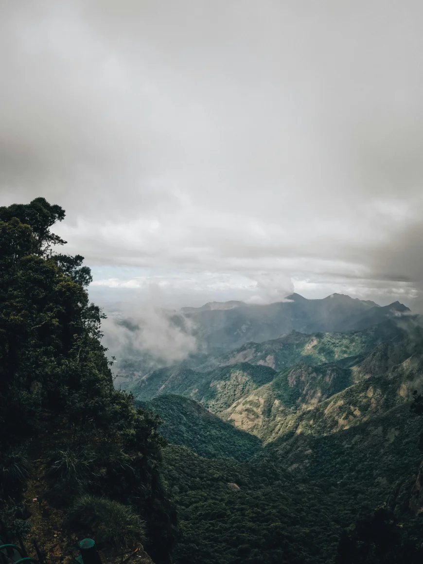 Kodaikanal Tour Packages – Complete Travel Guide for a Memorable Hill Station Experience