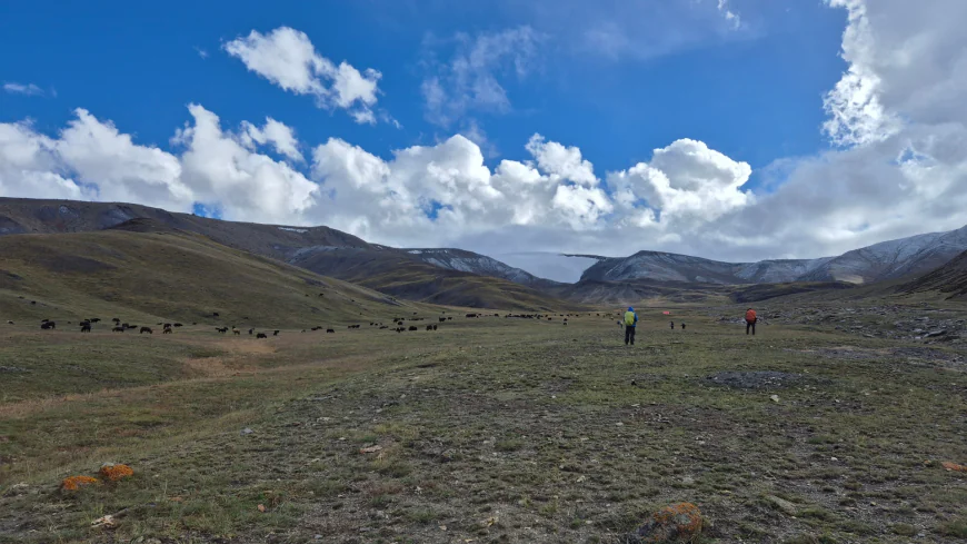Dzo jongo peak trek itinerary