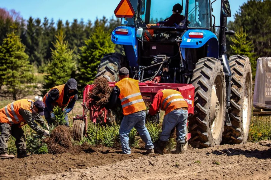 Efficient H2A Staffing for Farms and Greenhouses