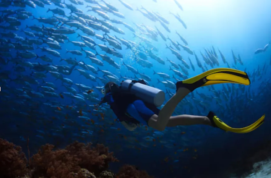 What It's Like to Learn to Dive on One of the Best Reefs in Southeast Asia