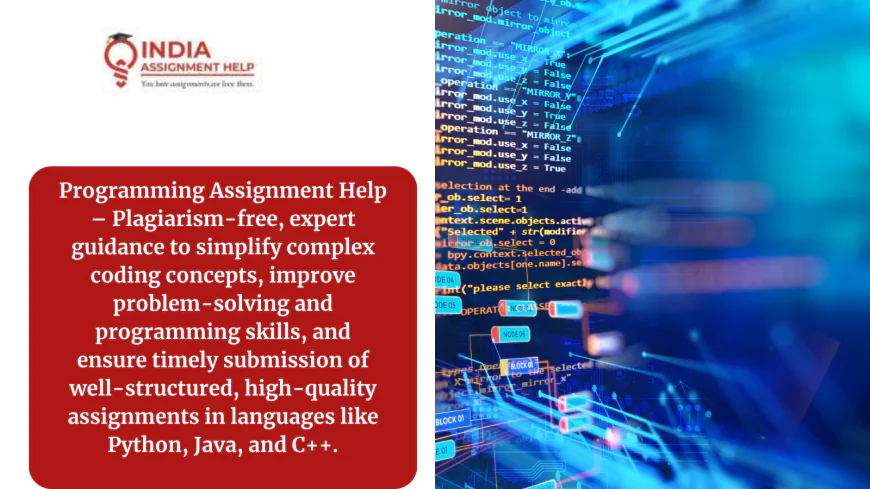 Where Can Students Find A Programming Assignment Helper Service?