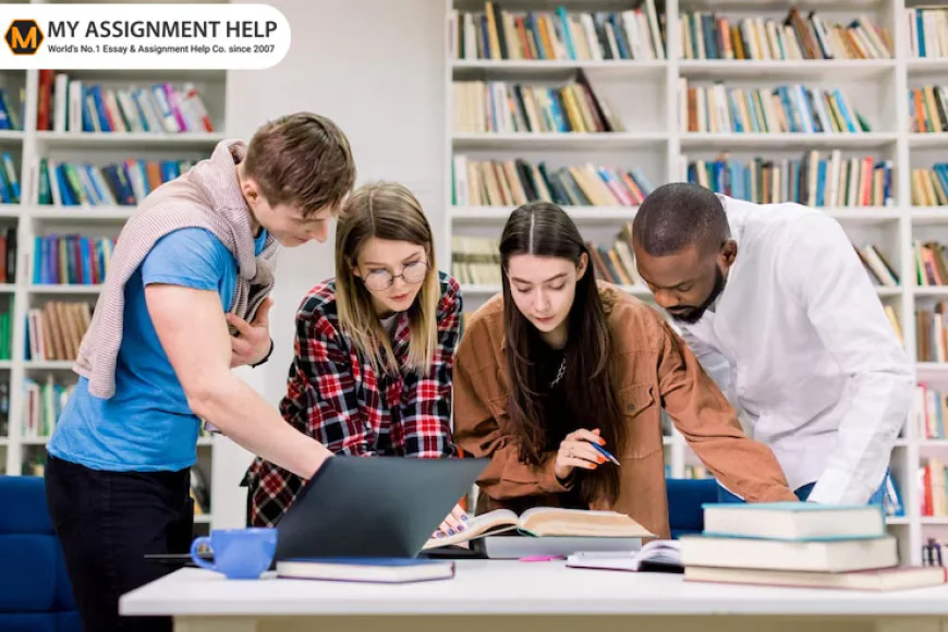 From Academic Excellence to Business Growth: The Power of Professional Writing Support