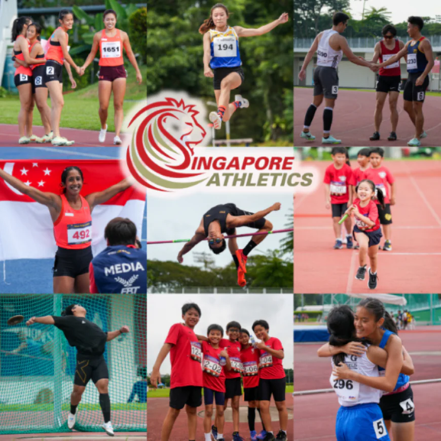 Why Children’s Sports Training Is Important for Healthy Growth and Development