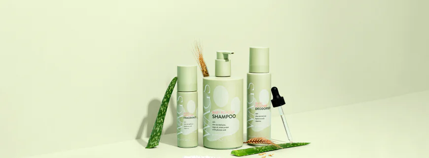 Why One Must Have Pet Grooming Tools For Dog Owners