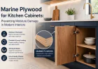 How to Prevent Moisture Damage in Modern Interiors