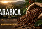 Best Arabica Coffee Beans for Daily Coffee Lovers in the USA