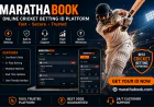 Best Online Cricket ID – Trusted Platform for Cricket Enthusiasts