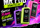 What to Know Before Choosing a Mr Fog Vape Device for Daily Use