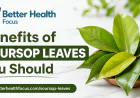 15 Potential Health Benefits of Soursop Leaves Tea (2026 Guide): Uses, Nutrition, and Safety