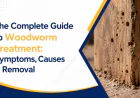 The Complete Guide to Woodworm Treatment: Symptoms, Causes & Removal