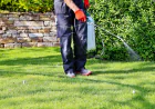 The Premium Approach to Fine Turf: Elite Weed Control Services for Lower Mainland Estates