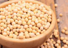 What Are the Potential Side Effects of Insoya?
