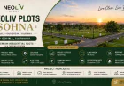 Upcoming Plot Projects in Haryana with High ROI Potential