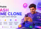 10 Profitable Crash Game Clone Ideas for Crypto Casino Startups