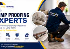 Damp Proofing Experts  Protecting Homes from Moisture Damage