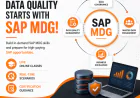SAP MDG Course: Why Data Quality Starts with Master Data Governance