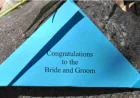 How Do You Release Butterflies for a Safe Ceremony