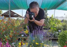 Monarchs & Milkweed: Support Butterflies in San Leandro