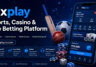 11xplay Cricket Betting Guide: Live Odds, Match Markets and Smart Play Tips