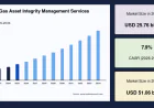 Oil and Gas Asset Integrity Management Services Market Revenue Analysis and Competitive Landscape Outlook