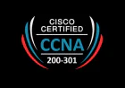 CCNA Training in Pune: Start Your Networking Career