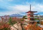 How to Plan a Family Holiday in Japan from India