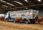 How Smart Livestock Logistics Can Transform Your Transport Process