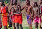 Why Maasai Mara Is the Highlight of Every Kenya Safari Tour