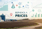 Bisphenol A Prices Index Analysis with Quarterly Trend and Forecast Prices Chart