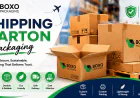 Shipping Carton Packaging: A Complete Guide for Safe and Efficient Delivery