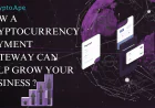 How a Cryptocurrency Payment Gateway Can Help Grow Your Business