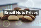 Brazil Nuts Prices Index Analysis with Quarterly Trend and Forecast Prices Chart