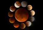Telescope Time for Asteroids Search: A Smart Choice for Astronomy Enthusiasts