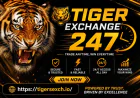Online cricket ID application at Tiger Exchange 247