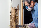 Understanding Professional Termite Protection for Residential Properties