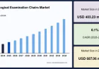 Gynaecological Examination Chairs Market Demand Accelerates Worldwide