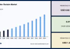 Silicon Wafer Reclaim Market Size, Industry Share and Future Outlook, 2034