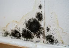 How to Navigate Birmingham Housing Disrepair Claims: Your 2026 Guide to Tenant Rights