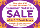 Summer Care for Backyard Fruit Trees | East Bay | Evergreen Nursery