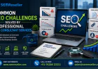 Common SEO Challenges Solved by Professional SEO Consultant Services