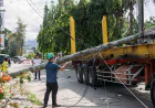 Newark Truck Accident Attorney: Legal Help After a Serious Truck Crash