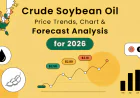 Crude Soybean Oil Price Chart 2026: Global Trends, Data and Forecast