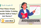 What Makes Oracle Financials Online Training a Valuable Skill in Today's Job Market?