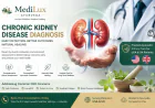 Chronic Kidney Disease Diagnosis & Natural Treatment | MediLux Ayurveda USA & UK