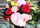 Blooming Connections Across Melbourne’s West: Altona, Point Cook & Port Melbourne Flowers