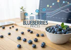Blueberries Price Trend Analysis with Quarterly Price Index and Forecast Prices
