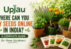 Where Can You Buy Seeds Online In India? A Complete Guide for Home Gardeners
