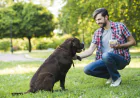 How to Choose the Best Dog Trainer Baltimore MD for Lasting Results